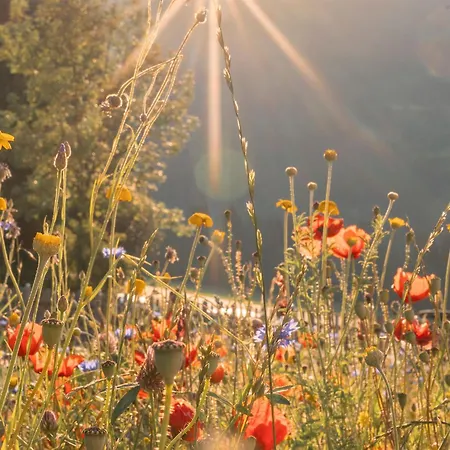 Dachsteinheim Hébergement de vacances