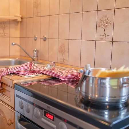 Dachsteinheim Hébergement de vacances *