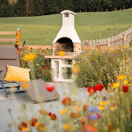 Dachsteinheim * Filzmoos